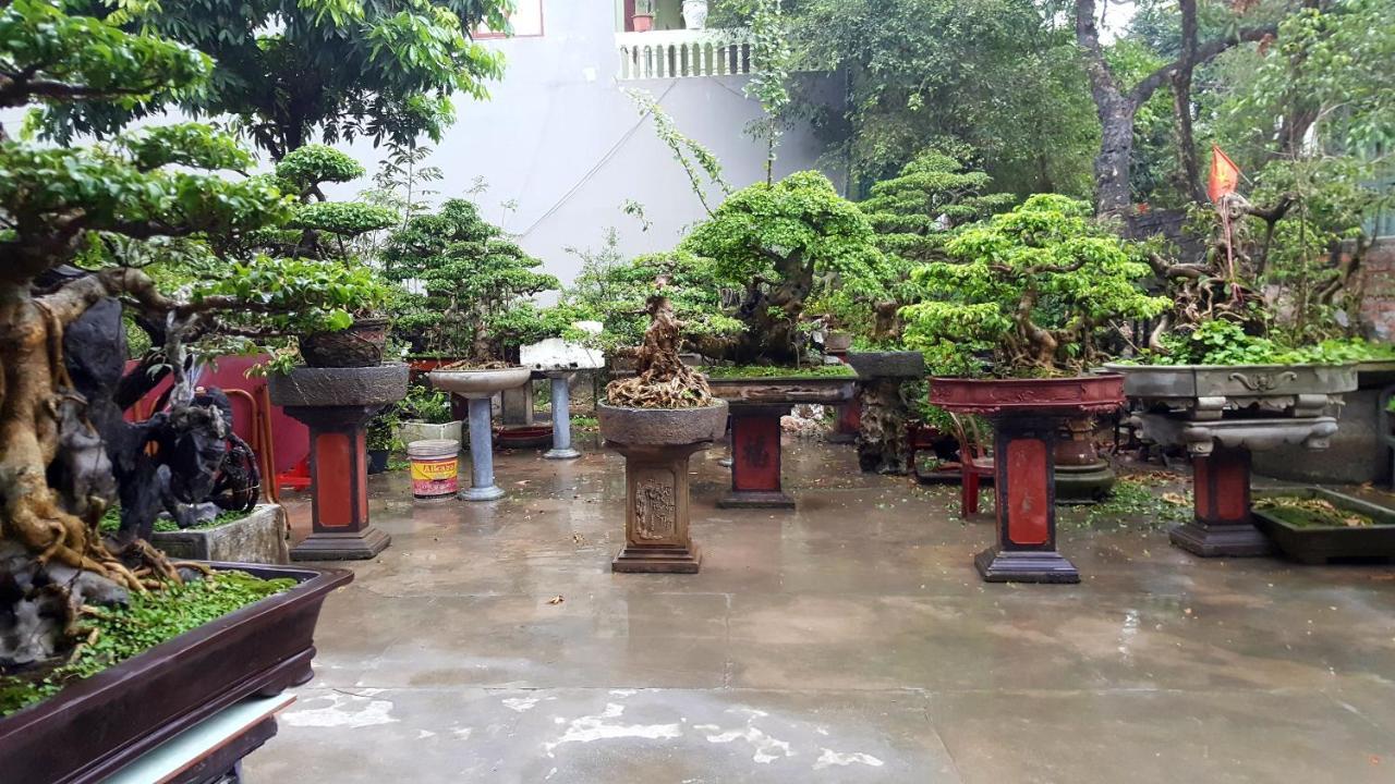 Quang Quang Garden Bonsai Homestay Ninh Binh Exterior photo